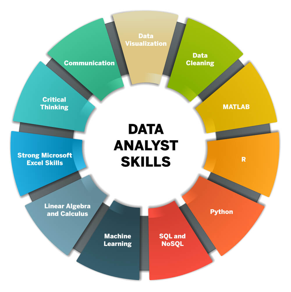 Data Analyst 