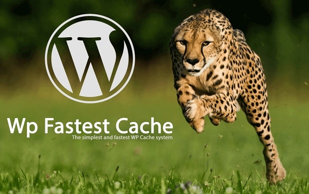 wp fastest cache